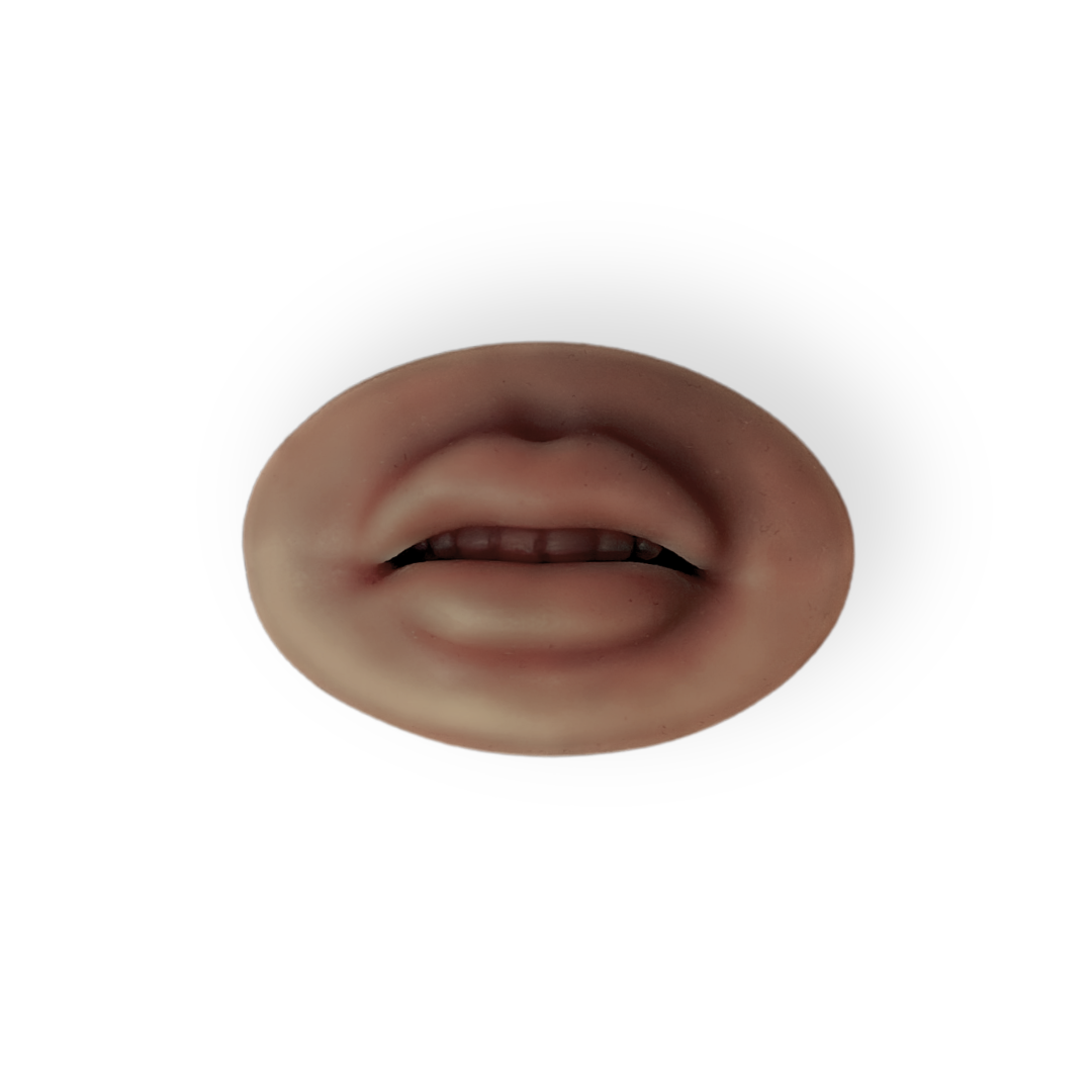 Nord 3D Lips Practice Skin